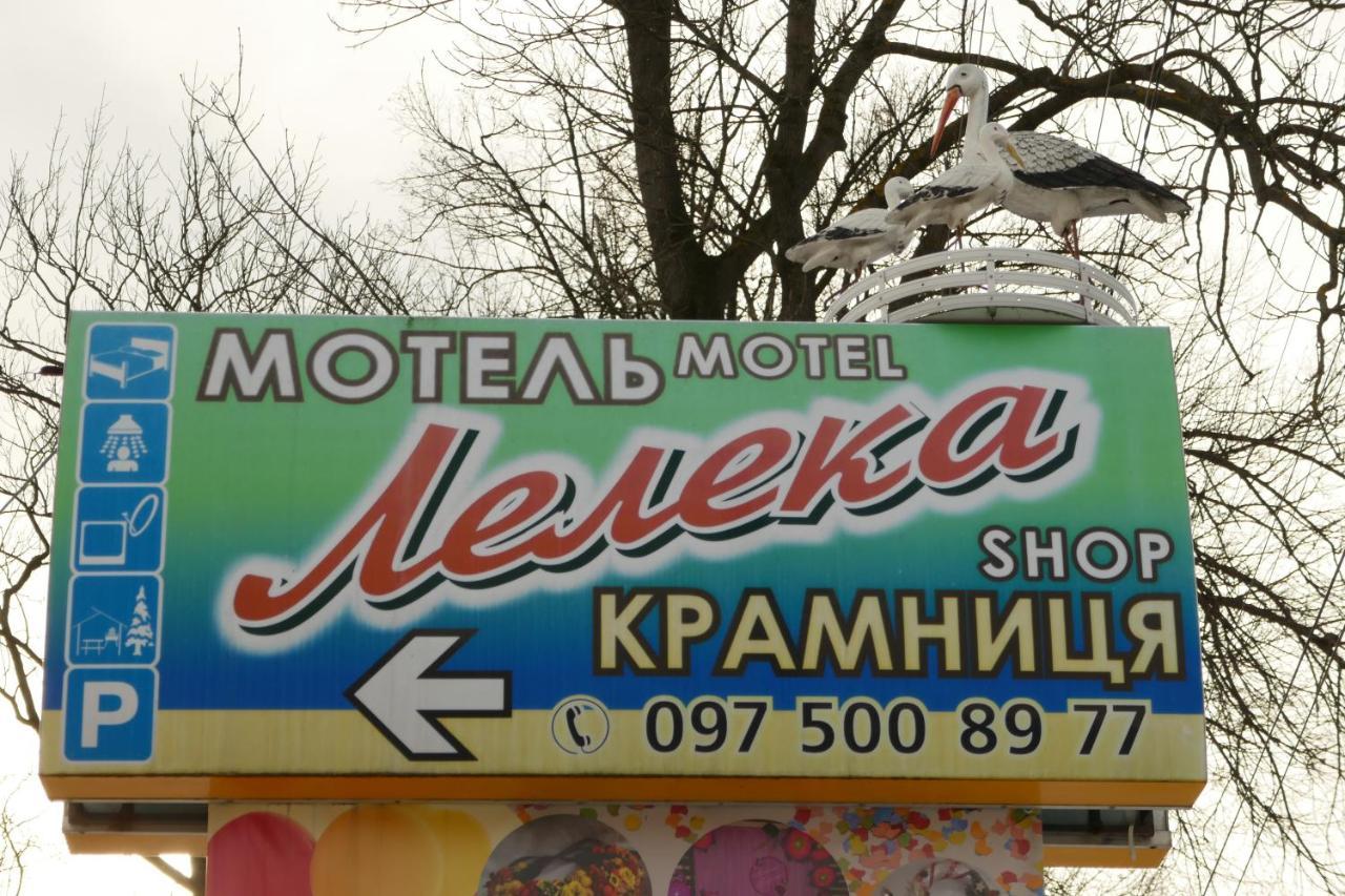 Гостевой дом Лелека Делятин Экстерьер фото