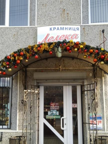 Гостевой дом Лелека Делятин Экстерьер фото